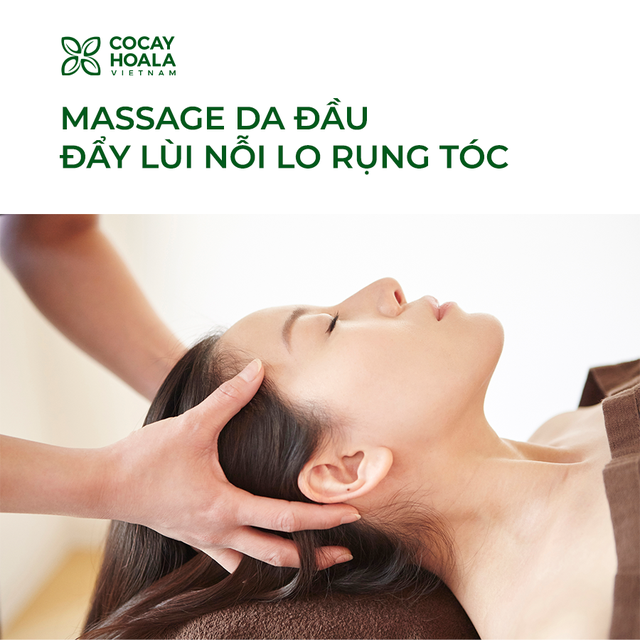 Đẩy lùi nỗi lo rụng tóc với 3 cách massage da đầu đơn giản - Ảnh 1.