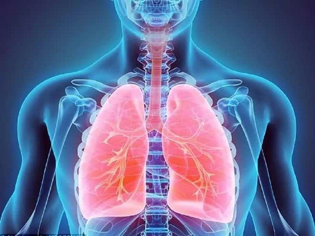  Chăm sóc phổi đúng cách để phòng bệnh COVID-19 - Ảnh 1.