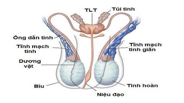 Nam giới có dấu hiệu này- Cẩn thận căn bệnh gây nguy cơ hiếm muộn! - Ảnh 1.