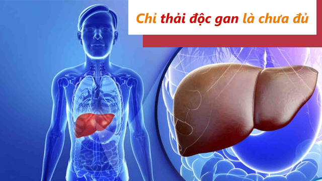 Thải độc gan - bảo vệ bạn trước bệnh gan nhưng chưa đủ! - Ảnh 1.