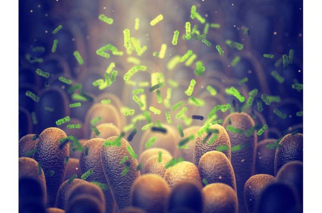 Sử dụng kháng sinh trong giai đoạn đầu đời có thể làm thay đổi hệ vi sinh đường ruột - Ảnh 1.