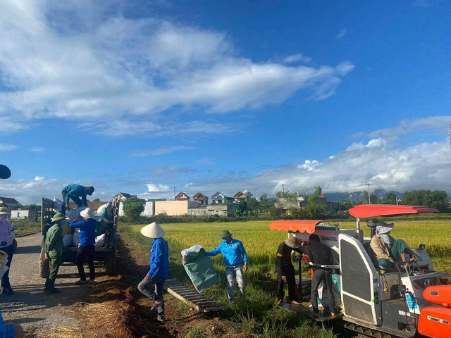 Đoàn viên thanh niên tại Quảng Bình hăng hái giúp người dân vùng bị phong tỏa thu hoạch lúa, hoa màu - Ảnh 2.