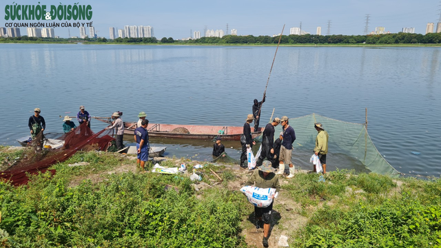 Hàng chục người nhộn nhịp đánh bắt cá “chui” ở Hà Nội, không ai bị xử phạt - Ảnh 4.