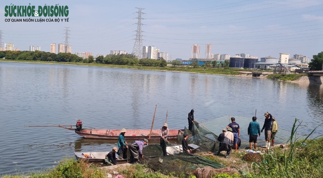 Hàng chục người nhộn nhịp đánh bắt cá “chui” ở Hà Nội, không ai bị xử phạt - Ảnh 5.