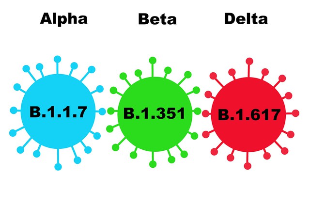 Biến thể Delta được coi là nguy hiểm hơn và dễ lây lan hơn so với các phiên bản trước đó của virus SARS-CoV-2.
