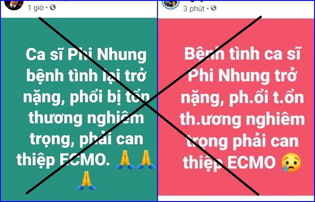 Ca sĩ Phi Nhung mắc COVID-19: Nỗi đau bệnh tật và sự đáng sợ của virus tin giả - Ảnh 5.