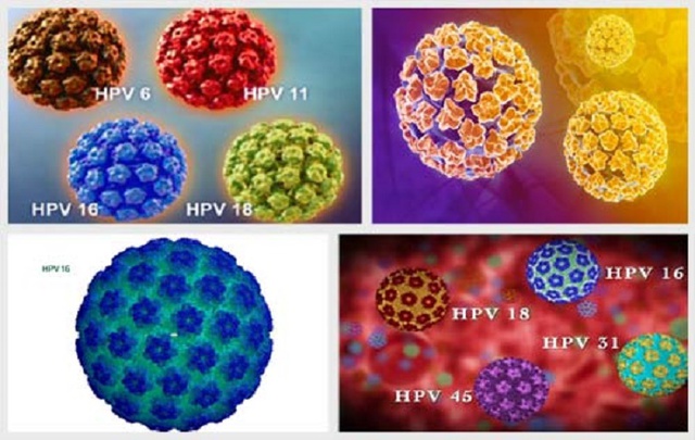 Cảnh báo: Gia tăng các bệnh ung thư liên quan đến virus HPV - Ảnh 5.