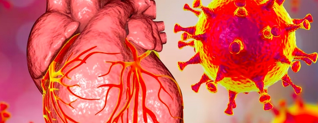 Mắc COVID-19 gây nguy cơ rủi ro cho tim hơn việc tiêm vaccine - Ảnh 1.