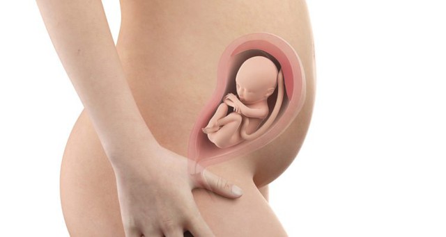 Những thay đổi lớn trong ba tháng thứ hai của thai kỳ - Ảnh 1.