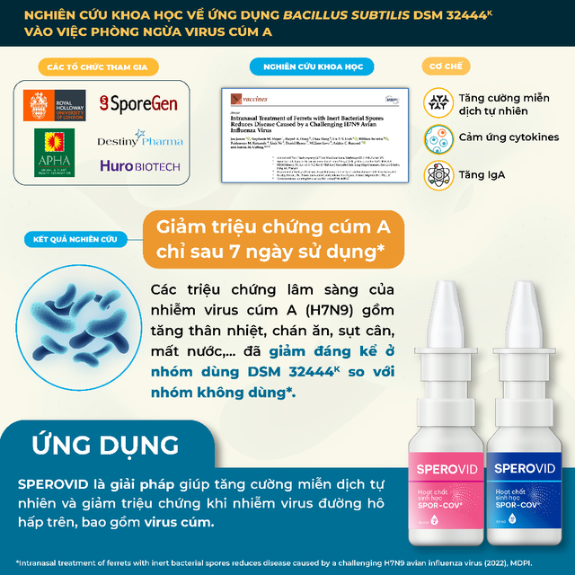 Ứng dụng từ bào tử lợi khuẩn bất hoạt vào hỗ trợ giảm triệu chứng cảm cúm - Ảnh 3.