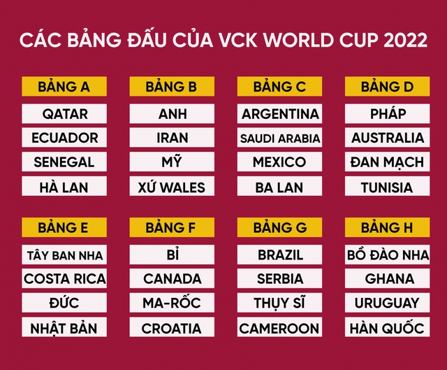 VTV đã chính thức sở hữu bản quyền FIFA World Cup 2022 - Ảnh 1.