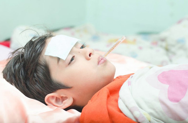 7 thảo dược, bài thuốc hỗ trợ trị sốt do adenovirus ở trẻ  - Ảnh 4.