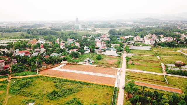 Ngăn chặn, xử lý nghiêm các trường hợp san ủi đồi núi, hồ ao để phân lô, bán nền - Ảnh 2.