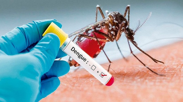 Phòng ngừa muỗi gây bệnh sốt xuất huyết - Ảnh 2.