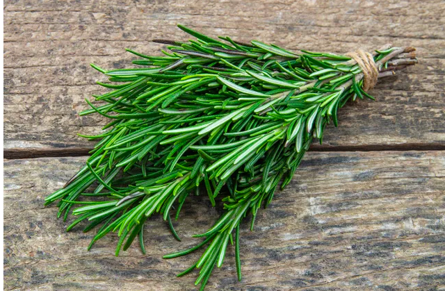 5 loại thảo mộc tăng cường sức khỏe bạn có thể trồng trong nhà bếp của mình - Ảnh 5.