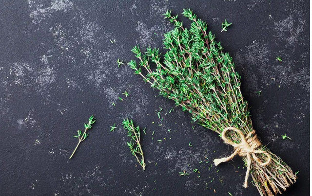 5 loại thảo mộc tăng cường sức khỏe bạn có thể trồng trong nhà bếp của mình - Ảnh 6.