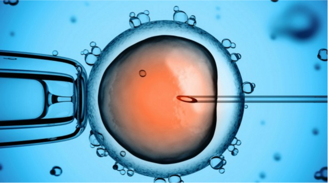 Tắc vòi trứng gây vô sinh và cách phòng ngừa hiệu quả - Ảnh 5.