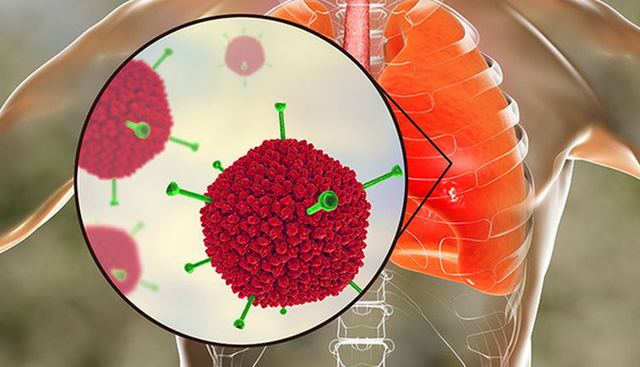 &quot;Chốt chặn&quot; ngăn ngừa virus, vi khuẩn xâm nhập - Ảnh 1.