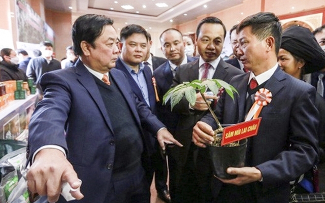Lần đầu tiên tỉnh Lai Châu tổ chức hội chợ Sâm  - Ảnh 4.