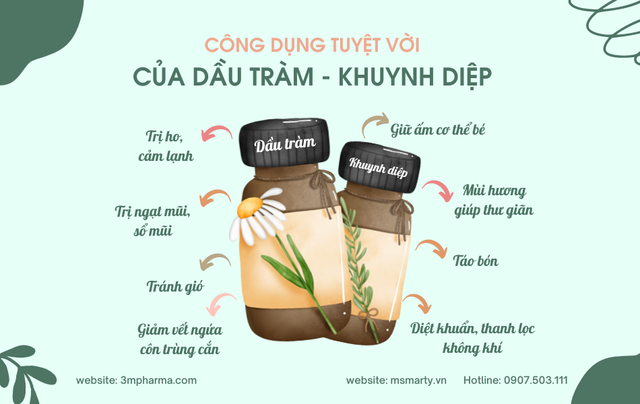 Công dụng và cách sử dụng Dầu tràm - khuynh diệp hiệu quả - Ảnh 1.