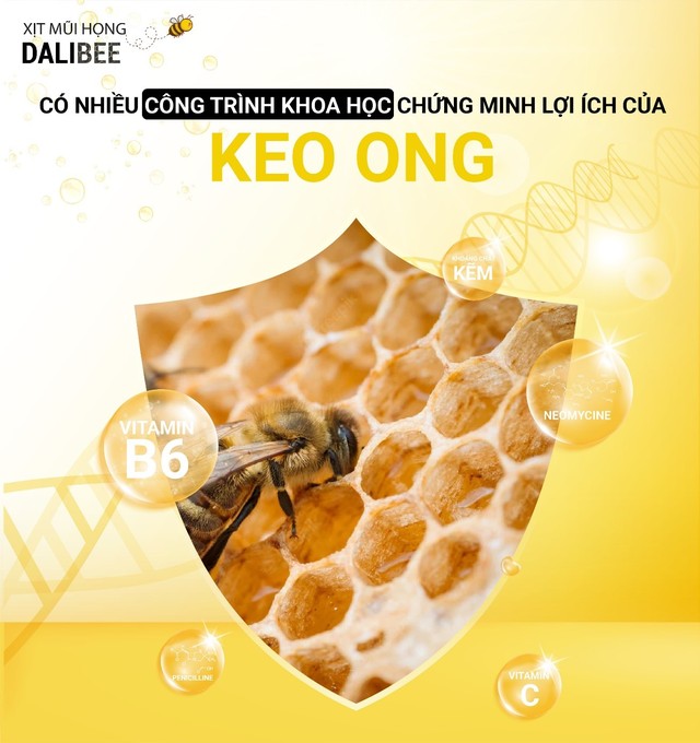 Đặc tính hỗ trợ kháng khuẩn, kháng vi rút xâm nhập hệ hô hấp của keo ong - Ảnh 2.