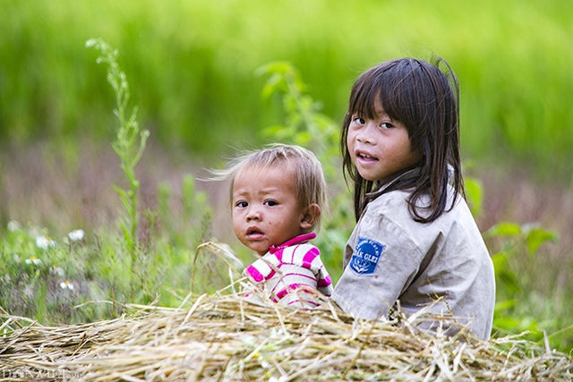 Tầm quan trọng của dinh dưỡng 1000 ngày đầu đời - Ảnh 3.