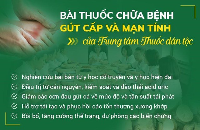 Thuốc trị bệnh gút bằng Đông y phối chế hơn 50 thảo dược tự nhiên - Ảnh 1.