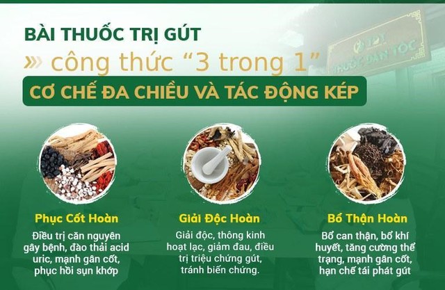 Thuốc trị bệnh gút bằng Đông y phối chế hơn 50 thảo dược tự nhiên - Ảnh 2.