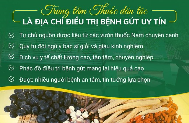 Thuốc trị bệnh gút bằng Đông y phối chế hơn 50 thảo dược tự nhiên - Ảnh 3.