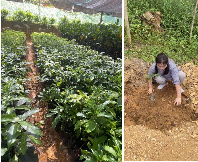 Thương mại điện tử và cách mạng trong kinh doanh sản phẩm dinh dưỡng - Ảnh 2. Thương mại điện tử và cách mạng trong kinh doanh sản phẩm dinh dưỡng - Ảnh 2.