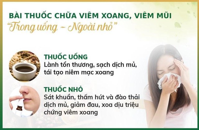 Chữa viêm xoang bằng Đông y kết hợp trong uống ngoài nhỏ - Ảnh 2.