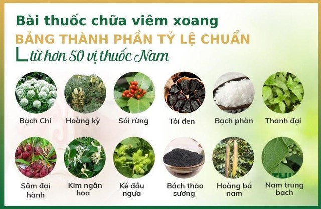 Chữa viêm xoang bằng Đông y kết hợp trong uống ngoài nhỏ - Ảnh 3.