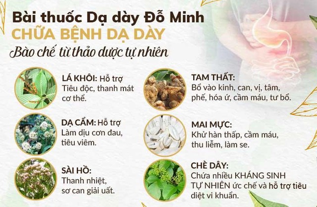 Hỗ trợ điều trị HP dạ dày bằng Đông y - Ảnh 2.