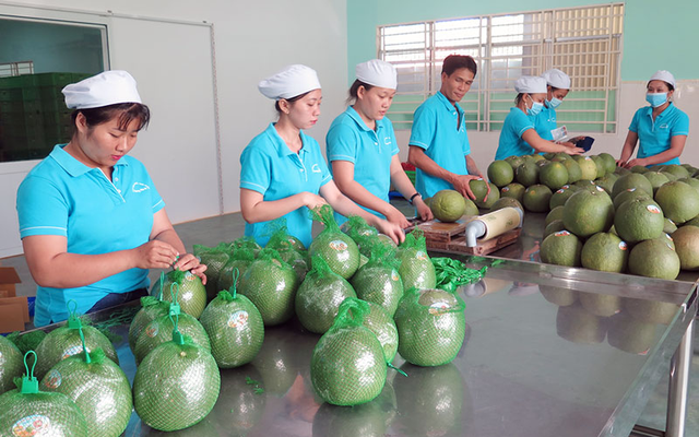 Việt Nam xuất khẩu nông sản năm 2022 lập kỷ lục mới - Ảnh 1.