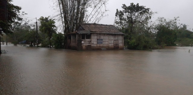Mưa lớn kéo dài, vùng thấp trũng ở Thừa Thiên Huế bị ngập lụt - Ảnh 8.