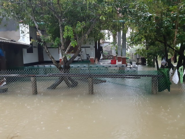 Mưa lớn kéo dài, vùng thấp trũng ở Thừa Thiên Huế bị ngập lụt - Ảnh 6.