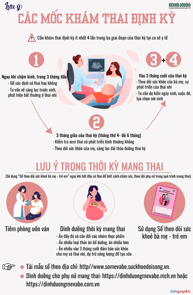 [Infographic] - Các mốc khám thai định kỳ - Ảnh 1.