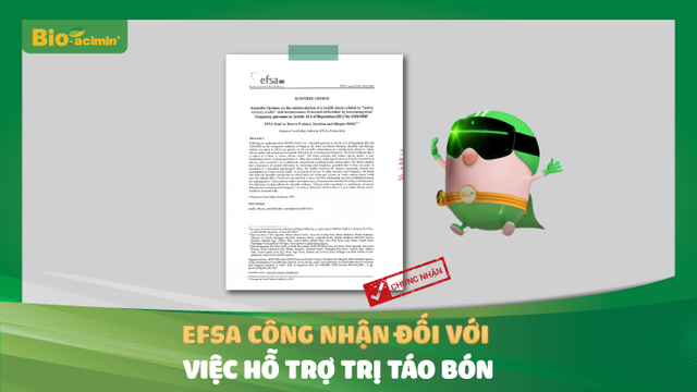 Vì sao chất xơ hòa tan Châu Âu Synergy 1 được khuyên dùng cho trẻ táo bón? - Ảnh 1.