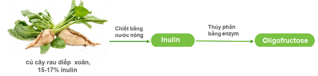 Vì sao chất xơ hòa tan Châu Âu Synergy 1 được khuyên dùng cho trẻ táo bón? - Ảnh 2.