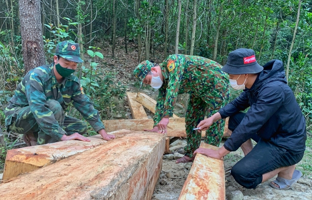 Bộ đội tuần tra biên giới phát hiện nhiều phách gỗ vô chủ - Ảnh 1.