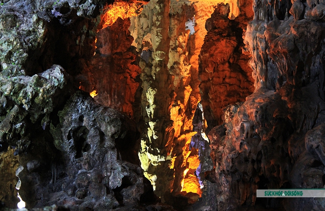 Khám phá vẻ đẹp hang động ở Hạ Long đầy quyến rũ - Ảnh 9.