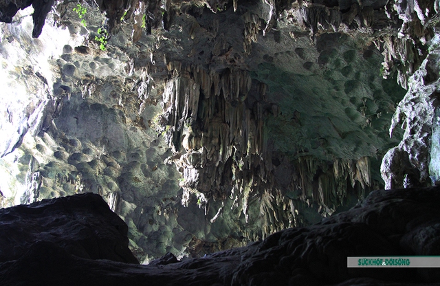 Khám phá vẻ đẹp hang động ở Hạ Long đầy quyến rũ - Ảnh 7.