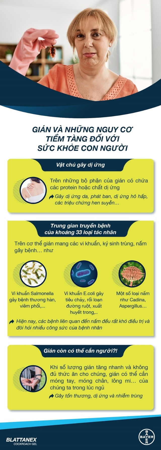 Bạn đã hiểu rõ gián và tìm được phương pháp diệt gián tốt?   - Ảnh 1.