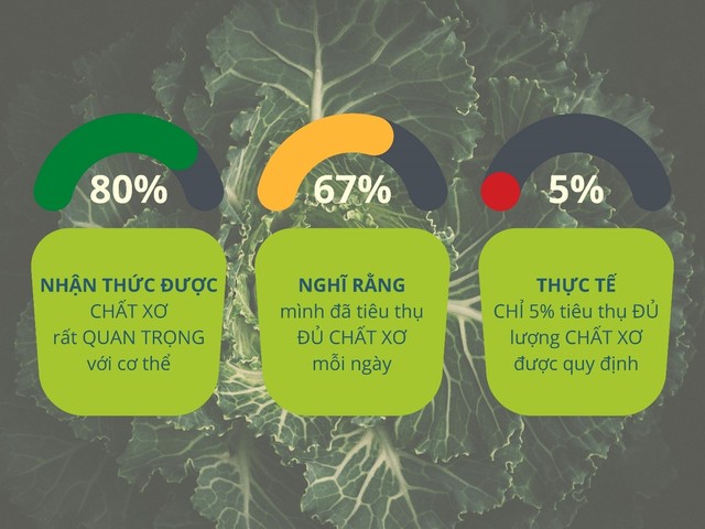 Sự thật là… chỉ 5% chúng ta tiêu thụ đủ chất xơ mỗi ngày - Ảnh 1.