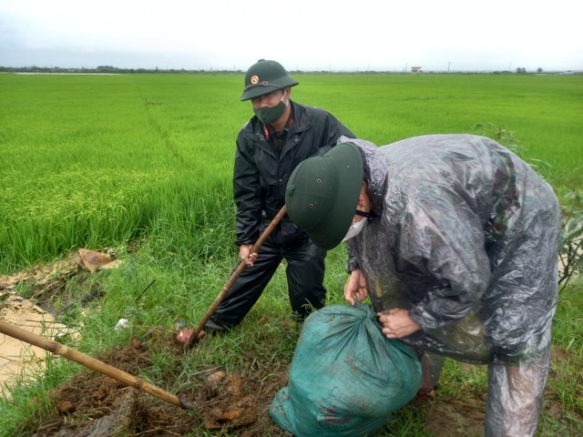 Bộ đội, dân quân dầm mưa giúp dân cứu lúa trước nguy cơ bị ngập  - Ảnh 8.