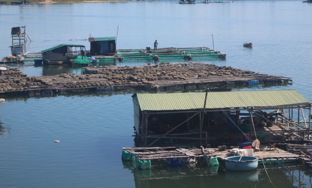 Nghề 'đục đẽo' ngoài biển khơi