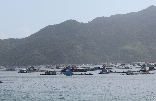 Nghề 'đục đẽo' ngoài biển khơi