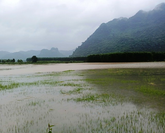 Quảng Bình: Chính quyền và người dân cùng hộ đê, thoát lũ, nỗ lực giảm thiệt hại do mưa lũ - Ảnh 1.