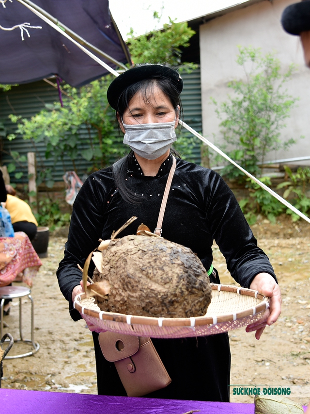 Ngọt bùi bánh nếp nhân trứng kiến của người Tày ở Tuyên Quang - Ảnh 5.