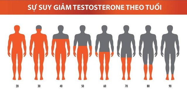 suygiamtestosterone 16495108579361075402641